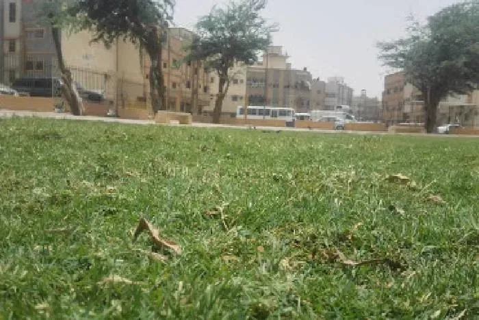 حديقة الوزارات