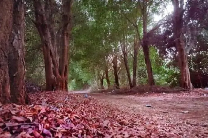 Karzakan Forest & Beach